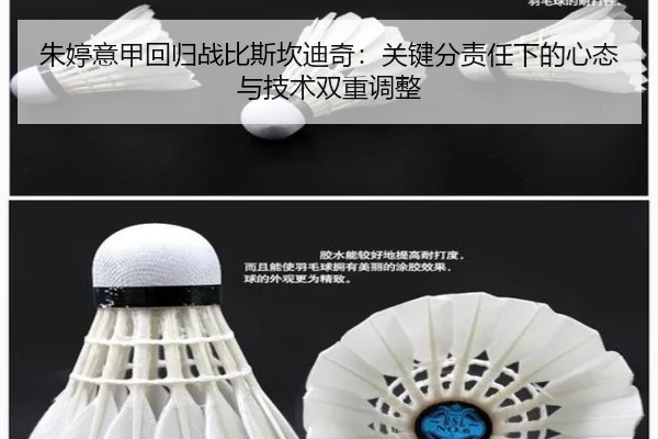 zhu-ting-yi-jia-hui-gui-zhan-bi-si-kan-di-qi-guan-jian-fen-ze-ren-xia-de-xin-tai-yu-ji-shu-shuang-chong-tiao-zheng-3-152.jpg