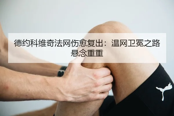 de-yue-ke-wei-qi-fa-wang-shang-yu-fu-chu-wen-wang-wei-mian-zhi-lu-xuan-nian-chong-chong-2-221.jpg