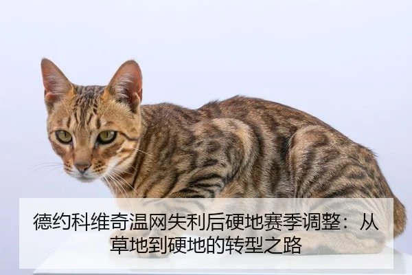 德约科维奇温网失利后硬地赛季调整：从草地到硬地的转型之路