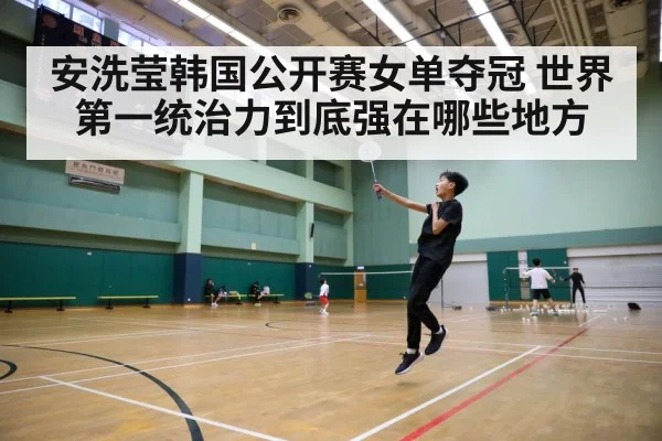 badminton tournament court